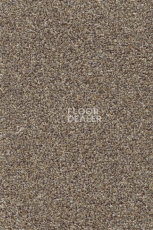 Ковролин AW Stainguard Harvest 44 фото 1 | FLOORDEALER